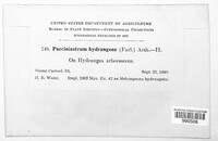 Image Associated With the Occurence